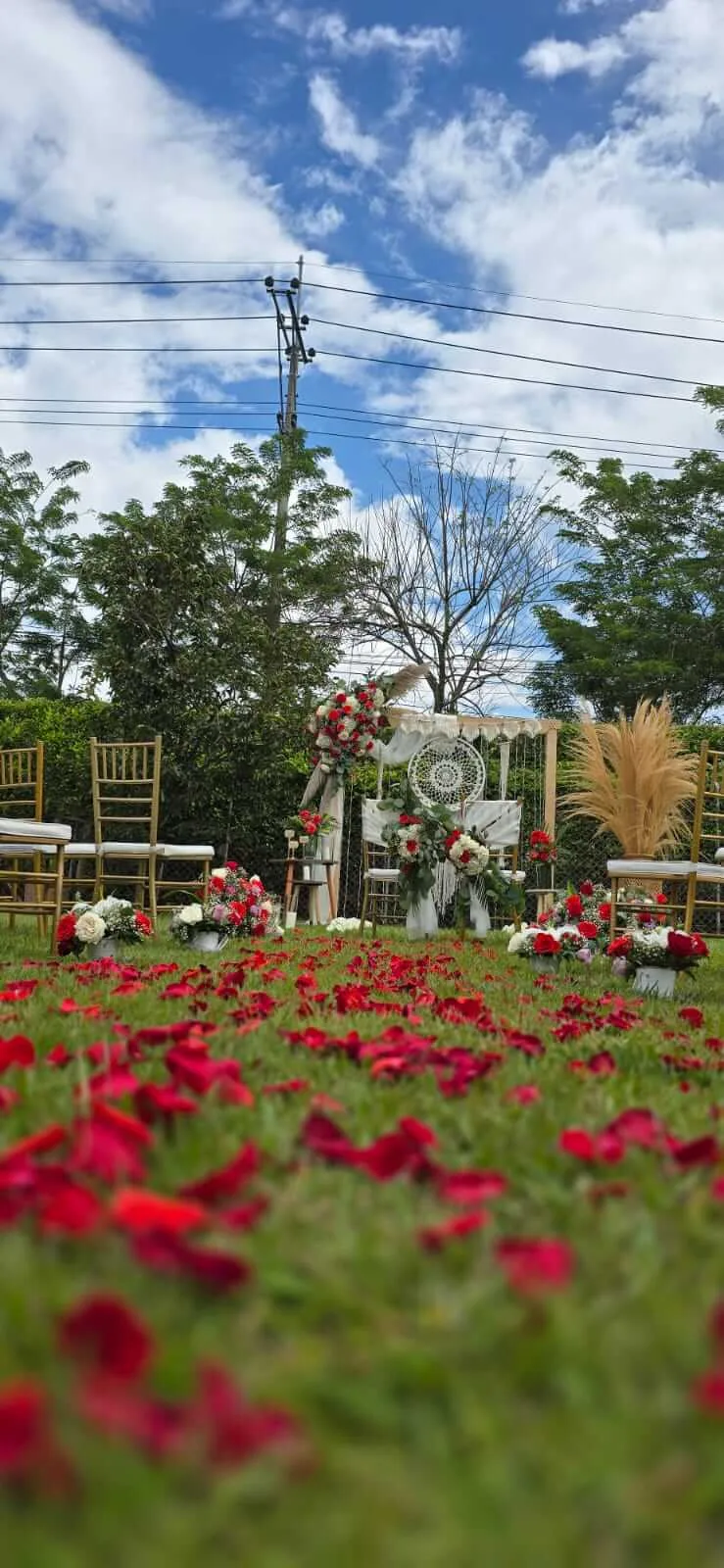 Ceremonia de boda destino al aire libre en el Eje Cafetero con altar floral y pétalos de rosa